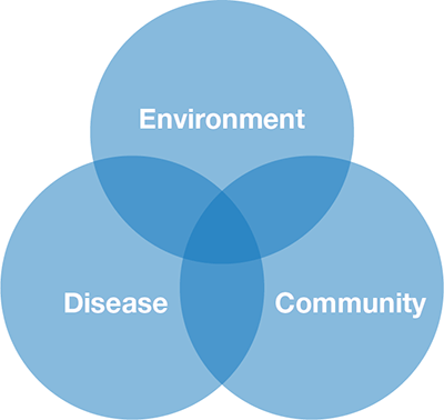 Disease, environment and community EN