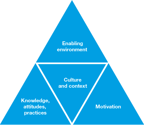 Behaviour change triangle