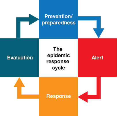 Epidemic response cycle