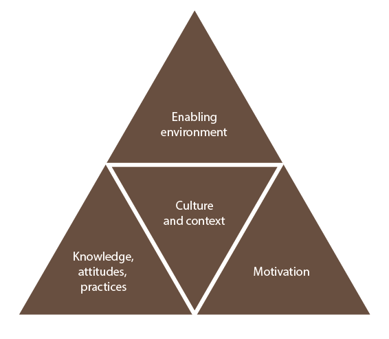 Social mobilisation triangle